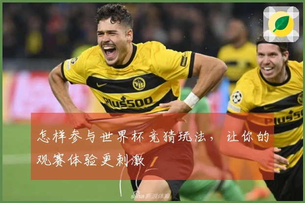 怎样参与世界杯竞猜玩法，让你的观赛体验更刺激