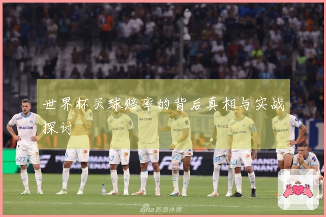 世界杯买球赔率的背后真相与实战探讨