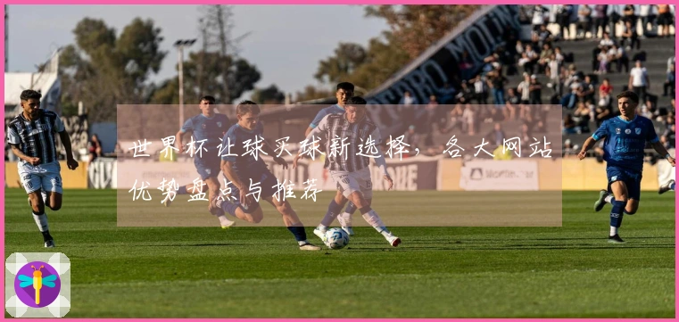 世界杯让球买球新选择，各大网站优势盘点与推荐